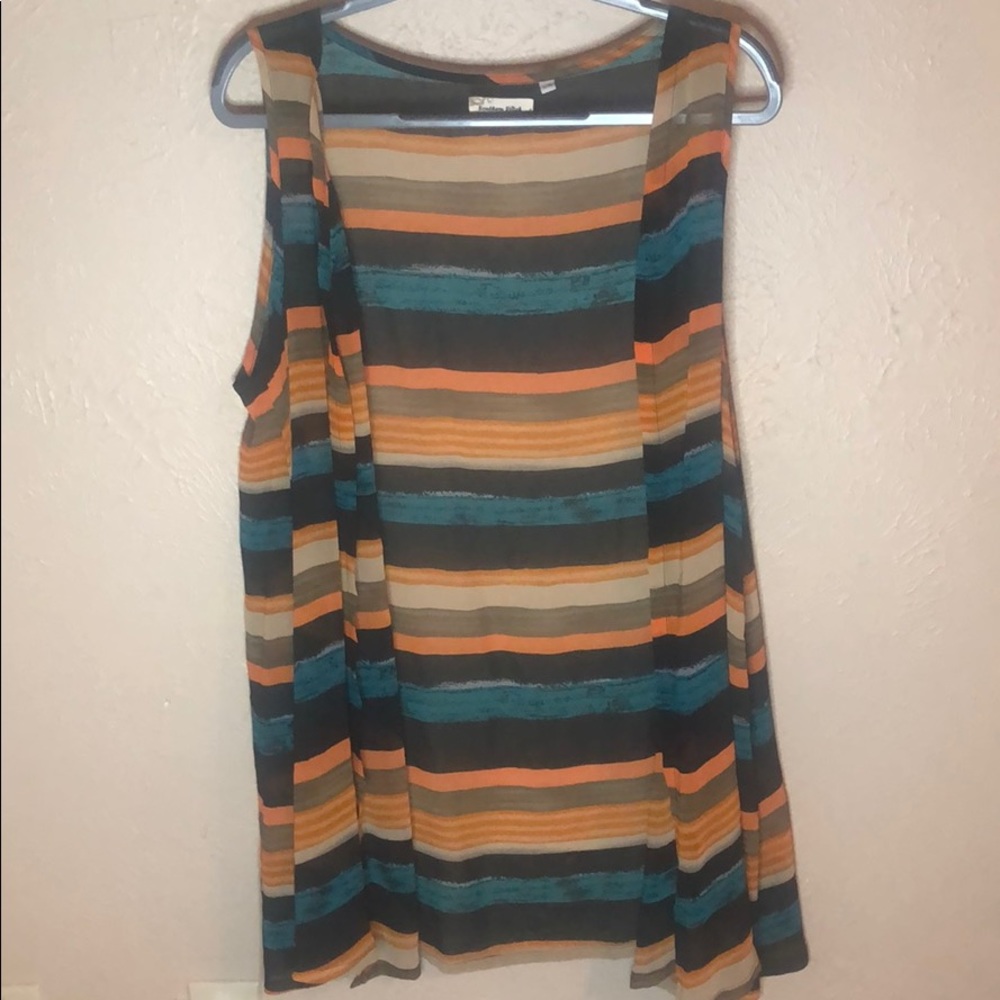 Sheer Vest